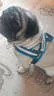 img20170320wa0001