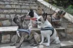 Beispiele Bild 13