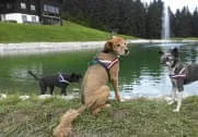 Bilder